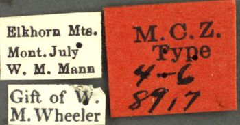 Media type: image;   Entomology 8917 Aspect: labels